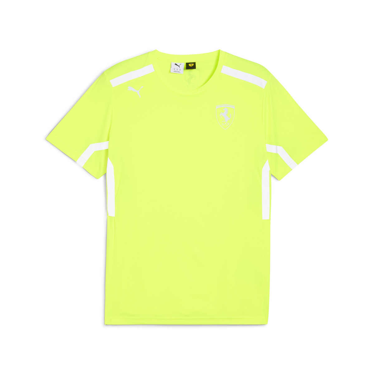 SF TEAM SET UP TEE 