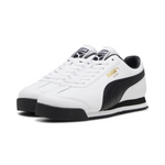 ROMA 24 STANDARD 
