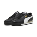 ROMA 24 STANDARD 