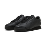 ROMA 24 STANDARD 