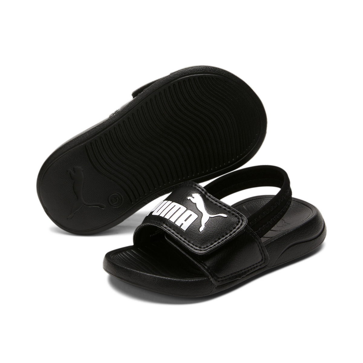 POPCAT 20 BACKSTRAP AC INF 