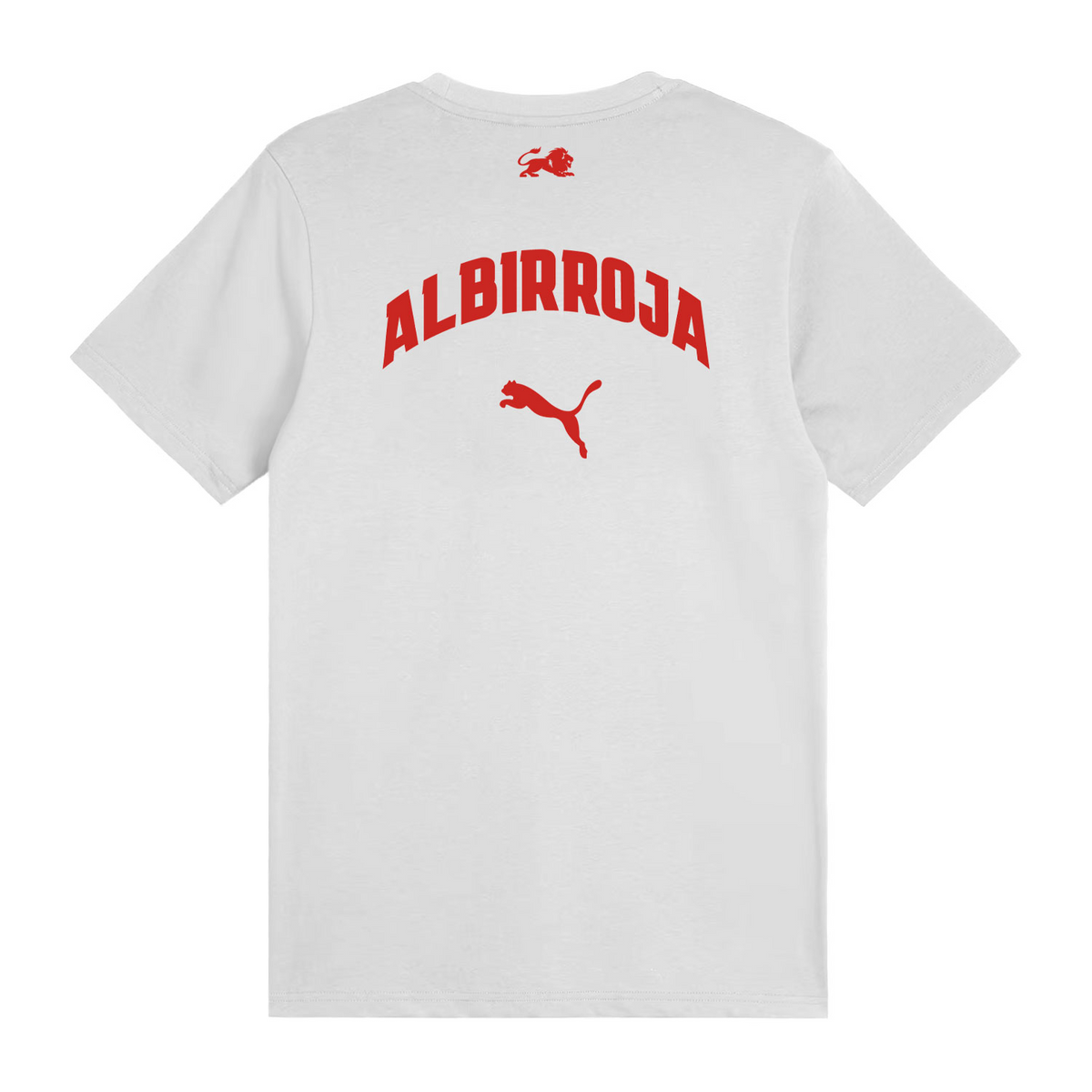 PARAGUAY FAN TEE 