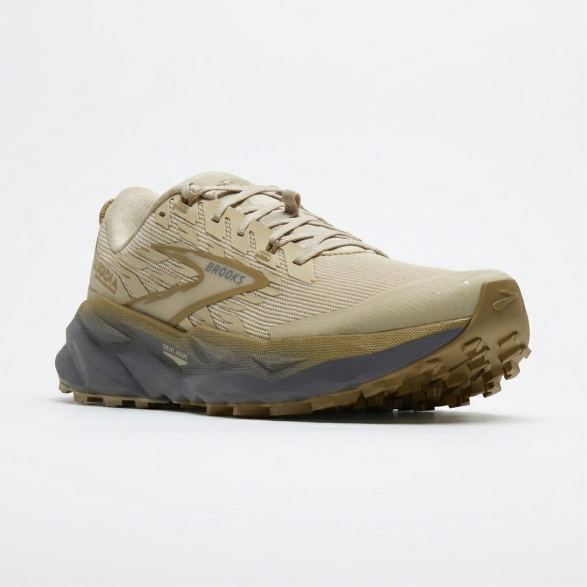 CASCADIA 19 