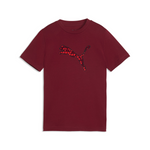 ACTIVE SPORTS BIG GRAPHIC TEE B 